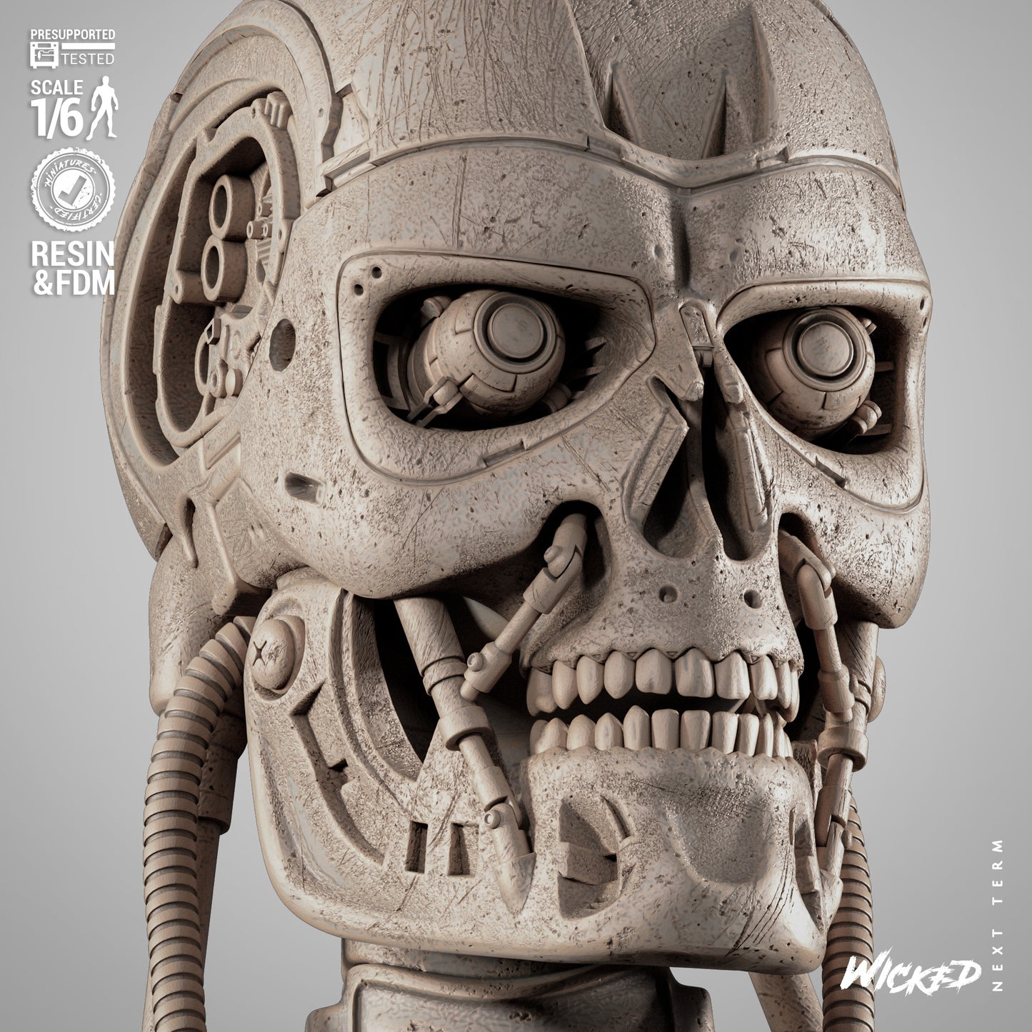 T800 Statue