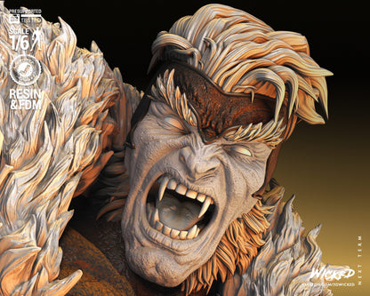 Wolverine VS Sabretooth Diorama
