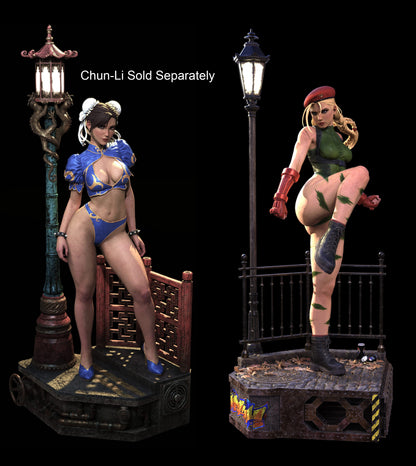 Cammy Statue 3D-Printed Kit