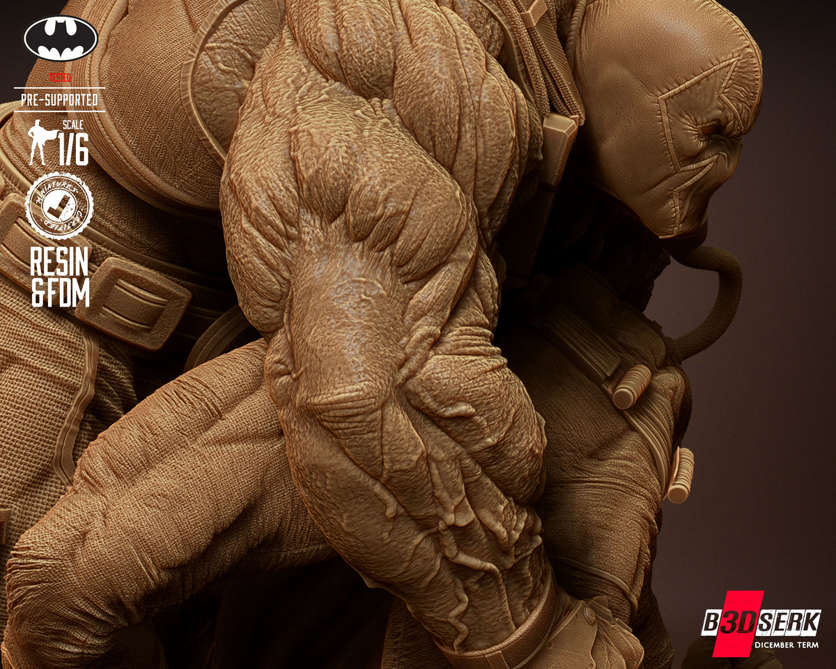 Bane VS Batman Diorama