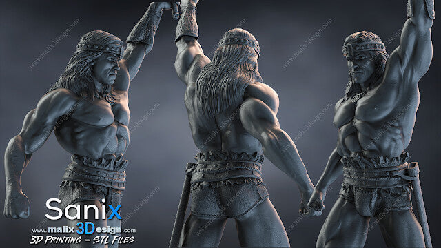 Conan Statue