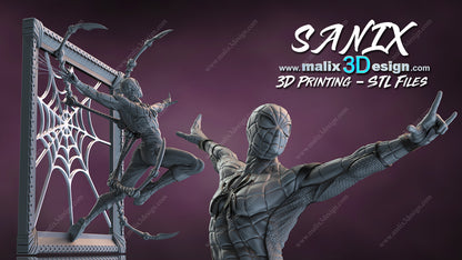 Spider-Man Wall Art