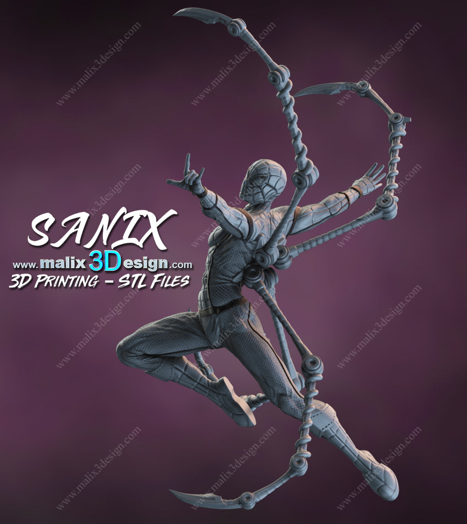 Spider-Man Wall Art