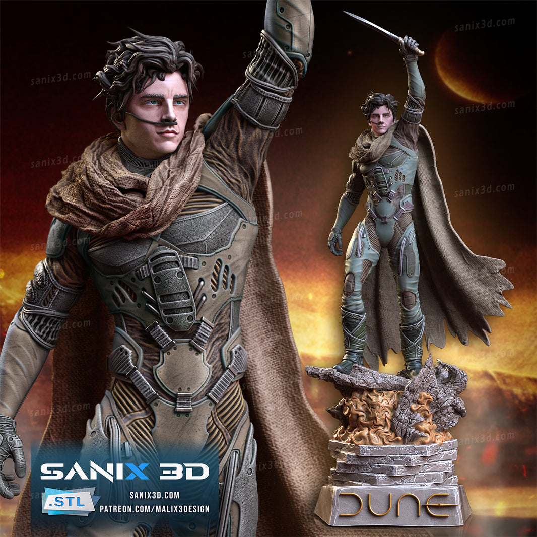 Sanix 3D Prints – KAPIKOPRINTED