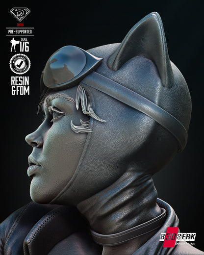 Batman & Catwoman Diorama