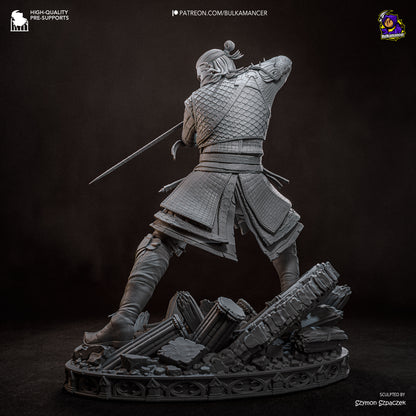 Coen Statue 3D-Printed Kit