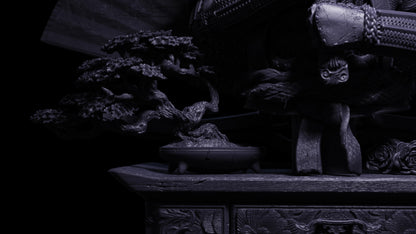 Himiko - Premium Bust And Jewerly Box