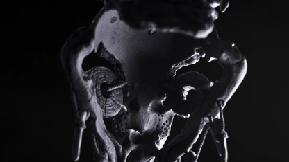 Face Of Decay Life-Size Mask