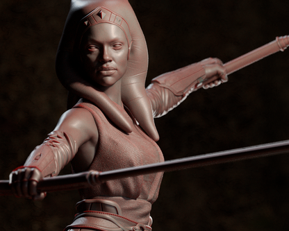 Ahsoka Statue