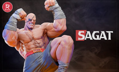 Sagat Statue 3D-Printed Kit