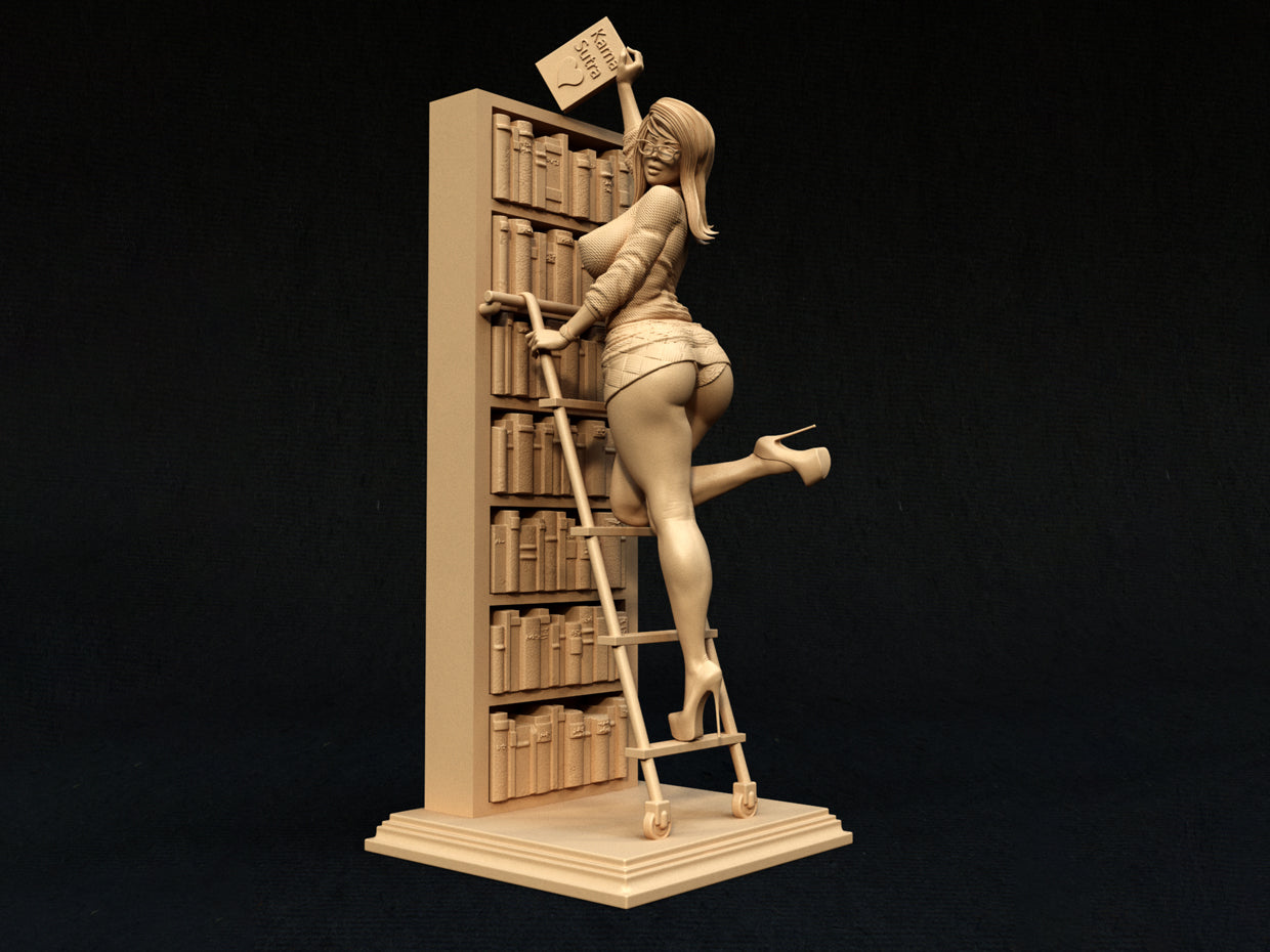 Librarian Statue