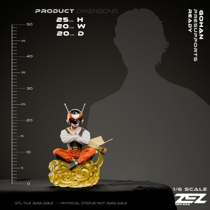 Gohan Statue 3D-Printed Kit